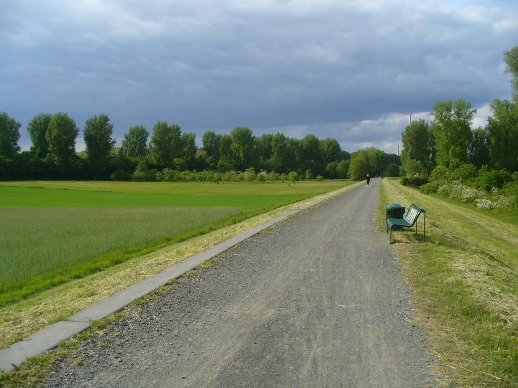 Ferienwohnung Rheinaue Кёльн Экстерьер фото