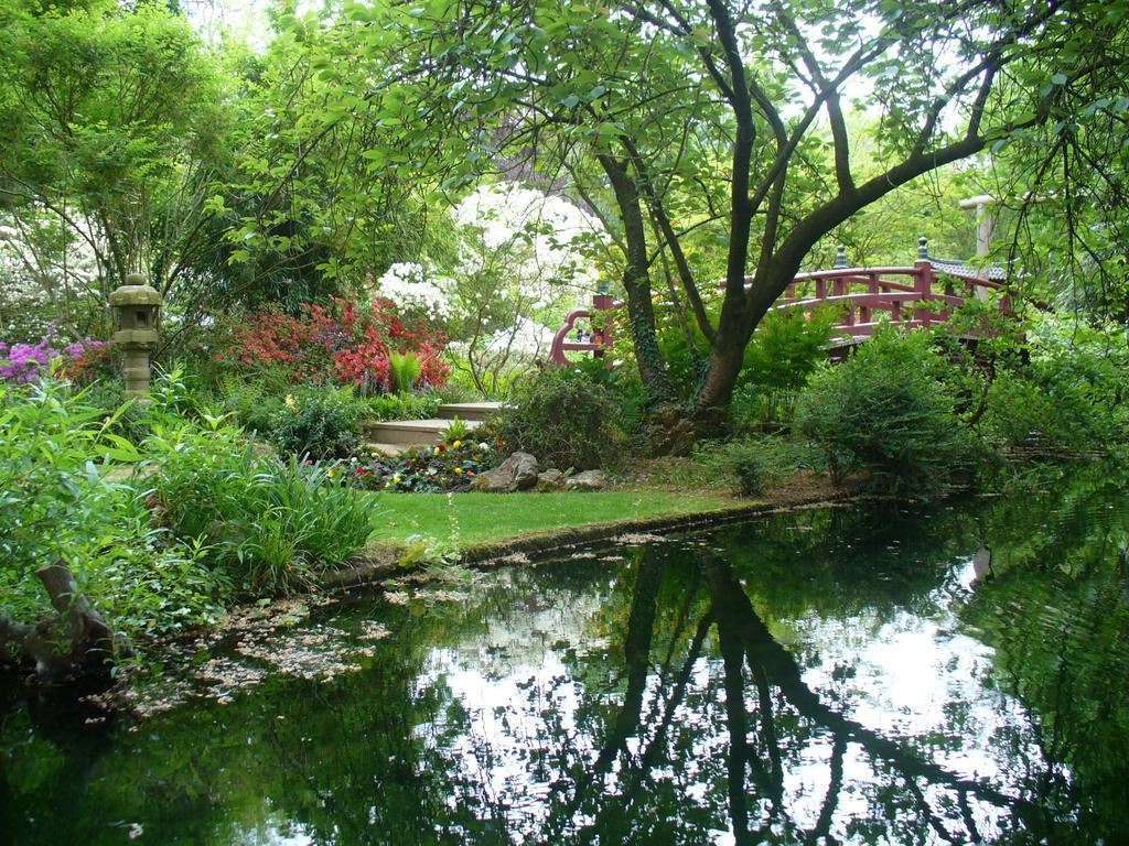 Ferienwohnung Rheinaue Кёльн Экстерьер фото